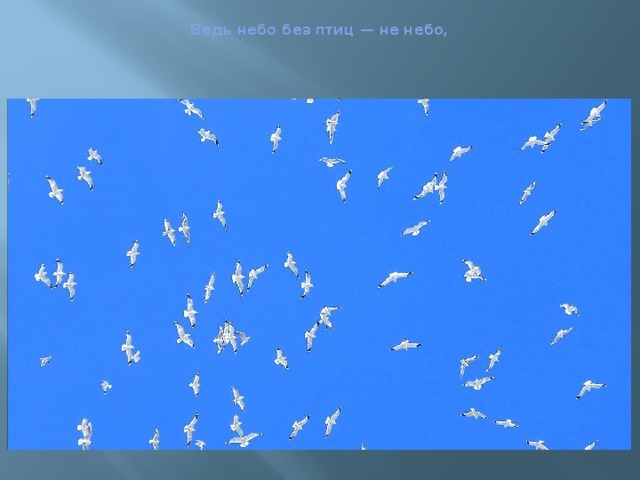  Ведь небо без птиц — не небо,   