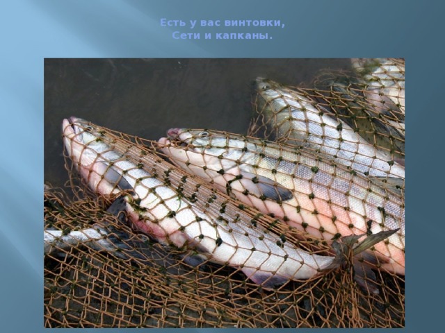  Есть у вас винтовки,  Сети и капканы.   