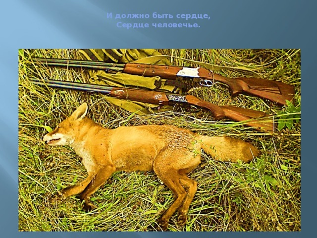  И должно быть сердце,  Сердце человечье.   