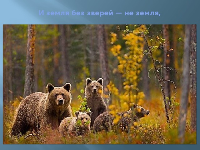 И земля без зверей — не земля,   