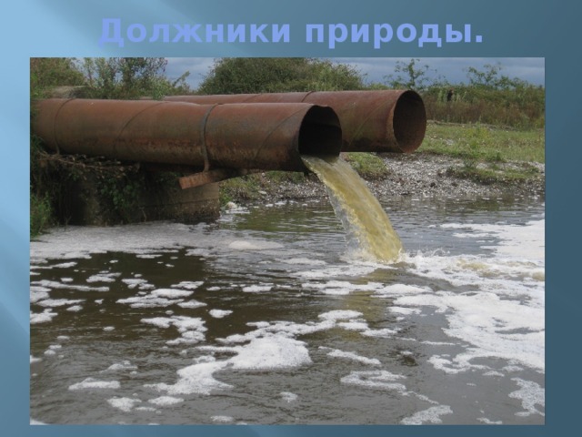 Должники природы. 