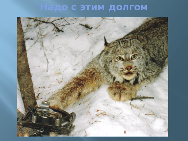 Надо с этим долгом   