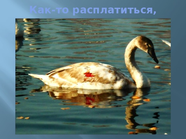 Как-то расплатиться, 