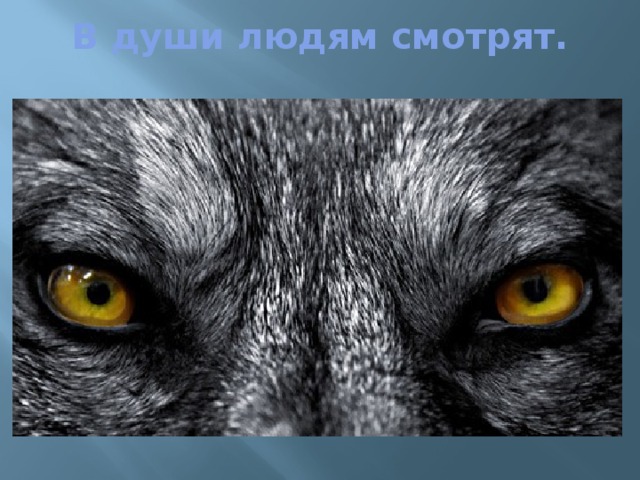 В души людям смотрят. 