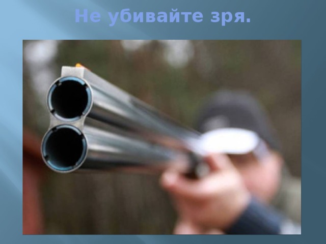 Не убивайте зря. 
