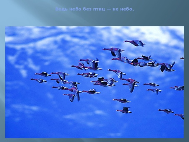  Ведь небо без птиц — не небо,   