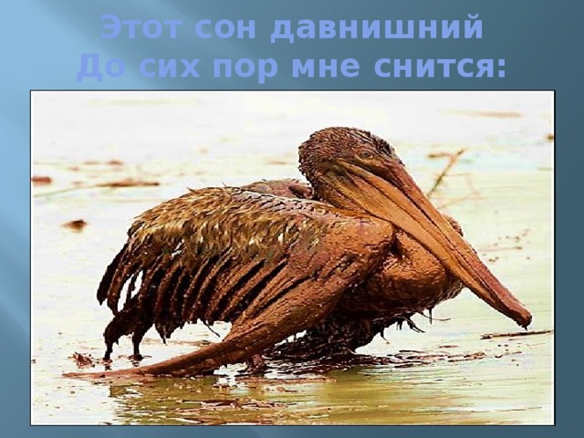 Этот сон давнишний  До сих пор мне снится:   