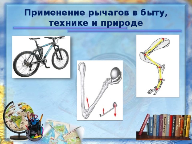 Применение рычагов в быту, технике и природе
