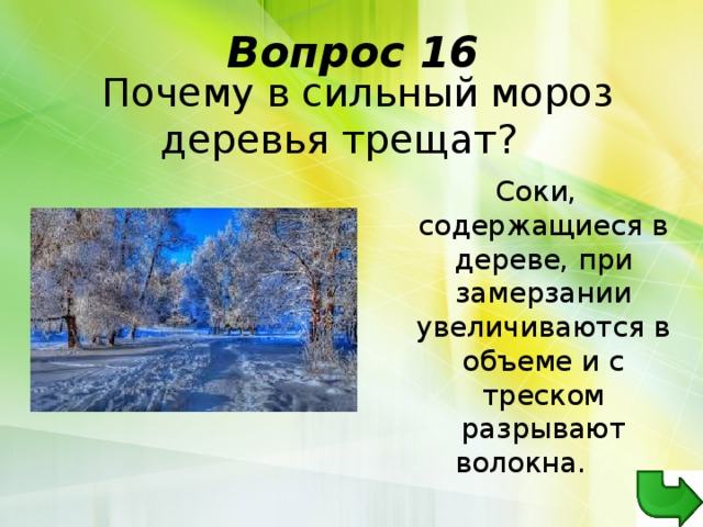 Вопрос 16   Почему в сильный мороз деревья трещат?  