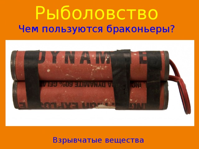 Рыболовство  Чем пользуются браконьеры? Взрывчатые вещества 