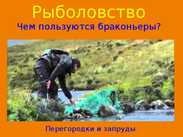 Рыболовство  Чем пользуются браконьеры? Перегородки и запруды 