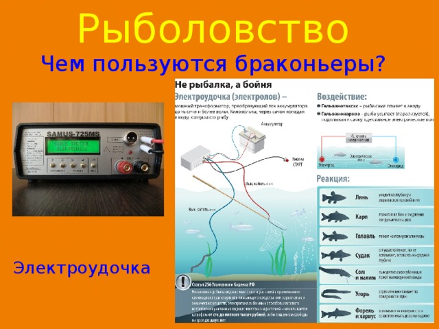 Рыболовство  Чем пользуются браконьеры? Электроудочка 