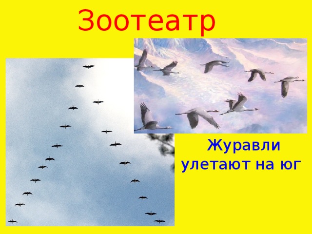 Зоотеатр   Журавли улетают на юг 