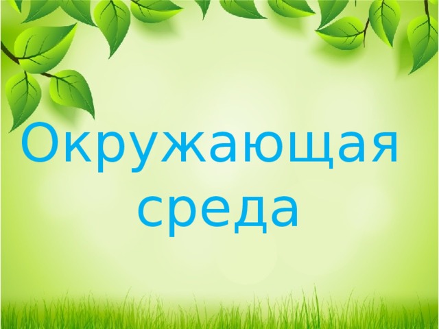 Окружающая среда 