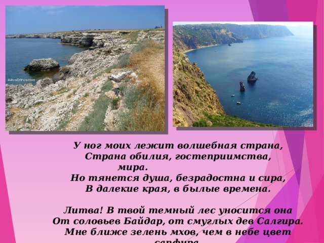 У ног моих лежит волшебная страна,  Страна обилия, гостеприимства, мира.                               Но тянется душа, безрадостна и сира,  В далекие края, в былые времена.   Литва! В твой темный лес уносится она  От соловьев Байдар, от смуглых дев Салгира.  Мне ближе зелень мхов, чем в небе цвет сапфира,  Чем апельсинных рощ багрец и желтизна.   