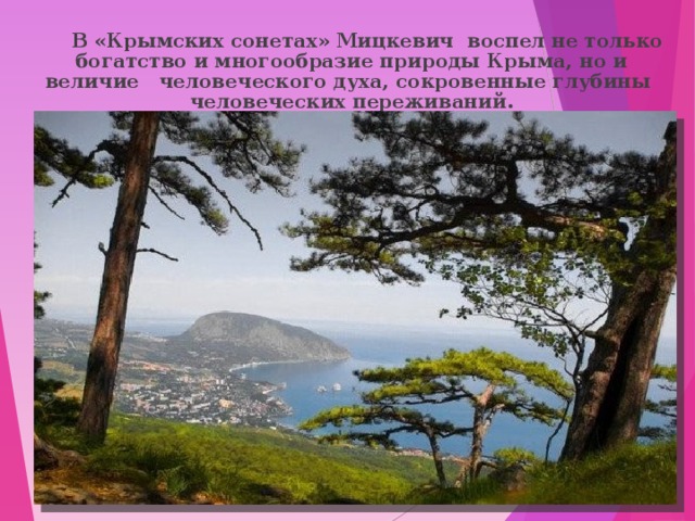  В «Крымских сонетах» Мицкевич воспел не только богатство и многообразие природы Крыма, но и величие человеческого духа, сокровенные глубины человеческих переживаний.    