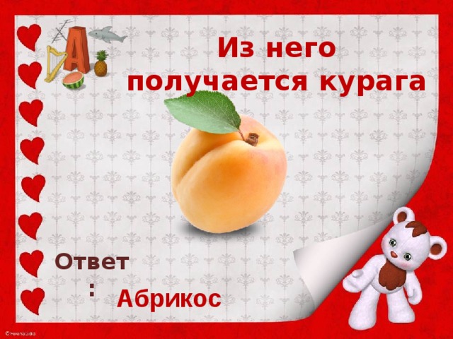Из него получается курага     Ответ: Абрикос