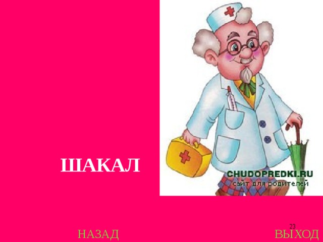 ШАКАЛ  НАЗАД ВЫХОД 