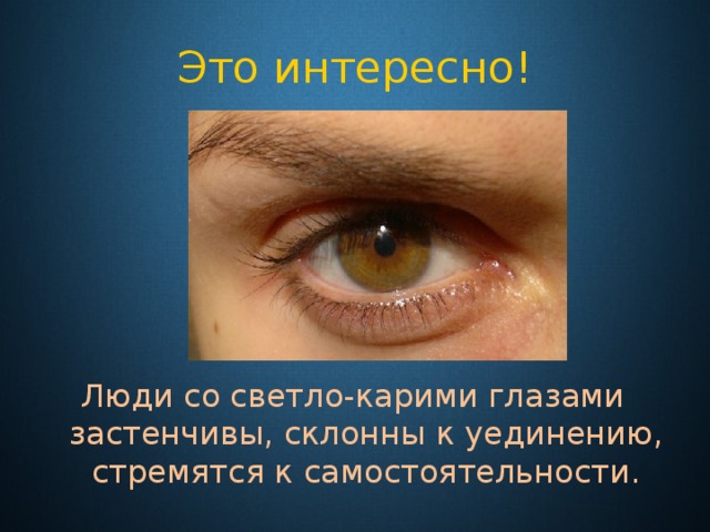 Это интересно! Люди со светло-карими глазами застенчивы, склонны к уединению, стремятся к самостоятельности. 