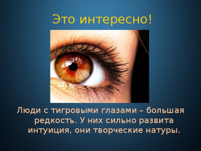  Это интересно! Люди с тигровыми глазами – большая редкость. У них сильно развита интуиция, они творческие натуры. 
