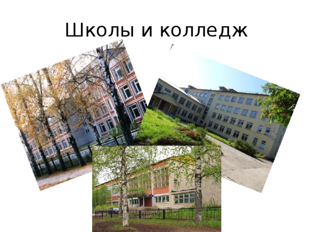 Школы и колледж 