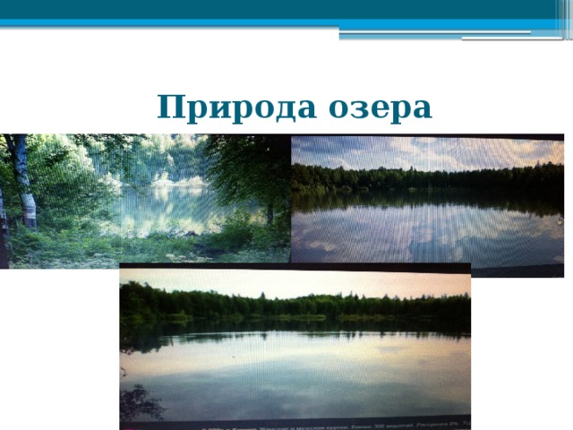  Природа озера 