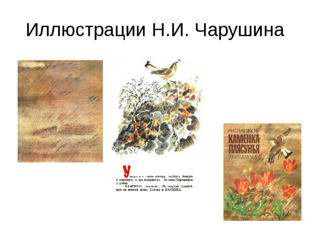 Иллюстрации Н.И. Чарушина 