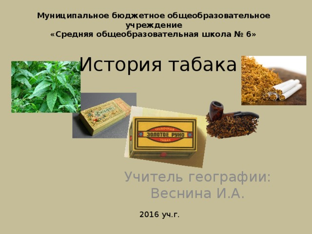 Муниципальное бюджетное общеобразовательное учреждение «Средняя общеобразовательная школа № 6» История табака Учитель географии: Веснина И.А. 2016 уч.г. 