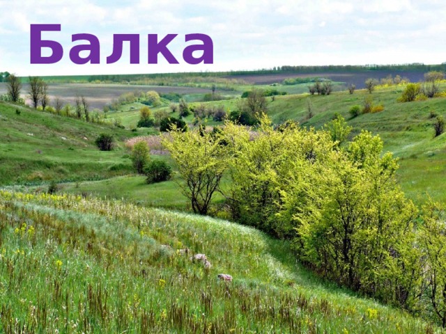 Балка  