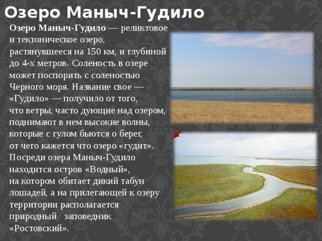 Озеро Маныч-Гудило Озеро Маныч-Гудило — реликтовое и тектоническое озеро, растянувшееся на 150 км, и глубиной до 4-х метров. Соленость в озере может поспорить с соленостью Черного моря. Название свое — «Гудило» — получило от того, что ветры, часто дующие над озером, поднимают в нем высокие волны, которые с гулом бьются о берег, от чего кажется что озеро «гудит». Посреди озера Маныч-Гудило находится остров «Водный», на котором обитает дикий табун лошадей, а на прилегающей к озеру территории располагается  природный   заповедник «Ростовский». 