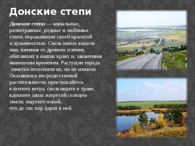 Донские степи Донские степи — ковыльные, разнотравные, родные и любимые степи, поражающие своей красотой и душевностью. Сколь много видели они, начиная от древних племен, обитавших в наших краях и, заканчивая нынешним временем. Растущие города    заметно потеснили их, но не изжили. Оказавшись посреди степной растительности, прислушайтесь к шепоту ветра, скользящего в траве, вдохните запах нагретой солнцем земли, ощутите покой, что до сих пор царит в ней. 