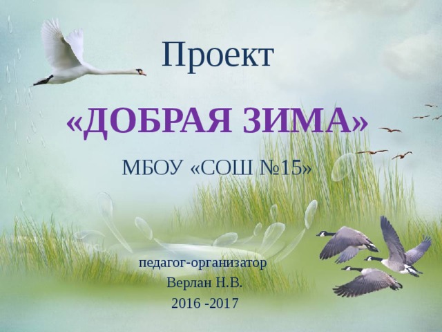 Проект «ДОБРАЯ ЗИМА» МБОУ «СОШ №15» педагог-организатор Верлан Н.В. 2016 -2017 