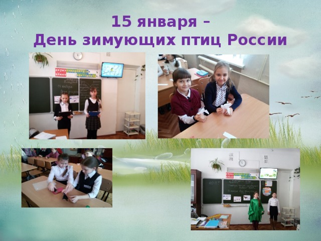 15 января –  День зимующих птиц России 