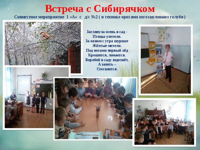 Встреча с Сибирячком  Совместное мероприятие 1 «А» с д/с №2 ( в технике оригами изготавливают голубя ) Заглянула осень в сад -  Птицы улетели.  За окном с утра шуршат  Жёлтые метели.  Под ногами первый лёд  Крошится, ломается.  Воробей в саду вздохнёт,  А запеть –  Стесняется.    