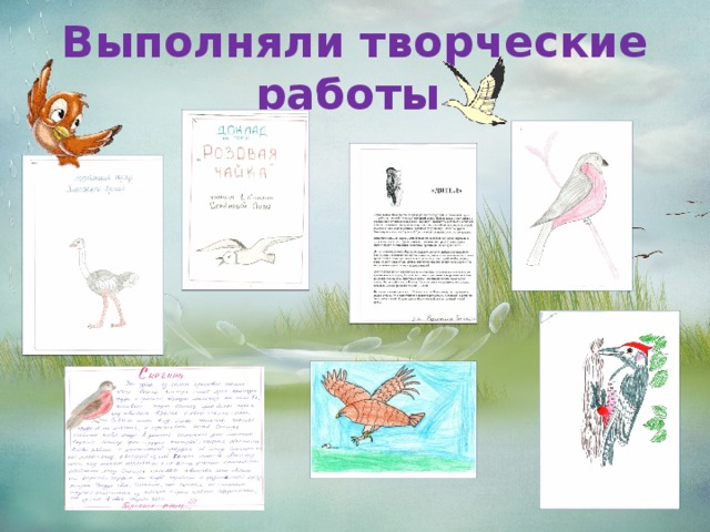 Выполняли творческие работы 