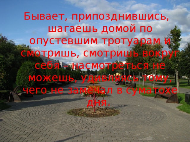 Бывает, припозднившись, шагаешь домой по опустевшим тротуарам и смотришь, смотришь вокруг себя – насмотреться не можешь, удивляясь тому, чего не замечал в суматохе дня.  