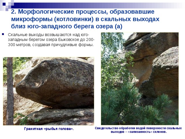2. Морфологические процессы, образовавшие микроформы (котловинки) в скальных выходах близ юго-западного берега озера (а) Скальные выходы возвышаются над юго-западным берегом озера Быковское до 200-300 метров, создавая причудливые формы.  Гранитная «рыбья голова».  Свидетельство обработки водой поверхности скальных выходов – «зализанность» склонов. 