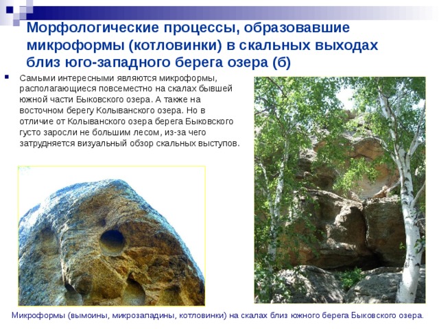 Морфологические процессы, образовавшие микроформы (котловинки) в скальных выходах близ юго-западного берега озера (б) Самыми интересными являются микроформы, располагающиеся повсеместно на скалах бывшей южной части Быковского озера. А также на восточном берегу Колыванского озера. Но в отличие от Колыванского озера берега Быковского густо заросли не большим лесом, из-за чего затрудняется визуальный обзор скальных выступов. Микроформы (вымоины, микрозападины, котловинки) на скалах близ южного берега Быковского озера. 