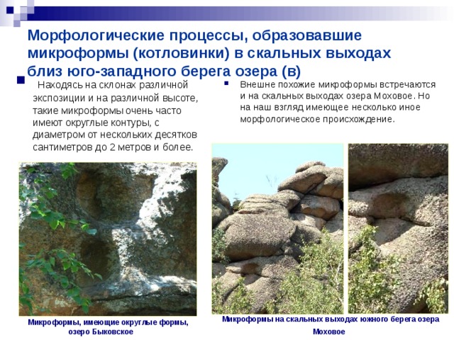Морфологические процессы, образовавшие микроформы (котловинки) в скальных выходах близ юго-западного берега озера (в)  Находясь на склонах различной экспозиции и на различной высоте, такие микроформы очень часто имеют округлые контуры, с диаметром от нескольких десятков сантиметров до 2 метров и более. Внешне похожие микроформы встречаются и на скальных выходах озера Моховое. Но на наш взгляд имеющее несколько иное морфологическое происхождение.  Микроформы на скальных выходах южного берега озера Моховое   Микроформы, имеющие округлые формы, озеро Быковское 