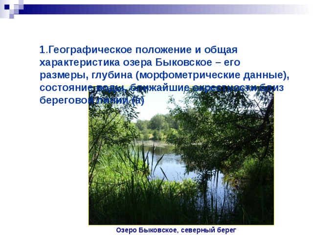  1 . Географическое положение и общая характеристика озера Быковское – его размеры, глубина (морфометрические данные), состояние воды, ближайшие окрестности близ береговой линии (а) Озеро Быковское, северный берег 