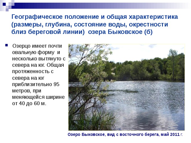 Географическое положение и общая характеристика (размеры, глубина, состояние воды, окрестности близ береговой линии) озера Быковское (б) Озерцо имеет почти овальную форму и несколько вытянуто с севера на юг. Общая протяженность с севера на юг приблизительно 95 метров, при меняющейся ширине от 40 до 60 м.   Озеро Быковское, вид с восточного берега, май 2011 г. 