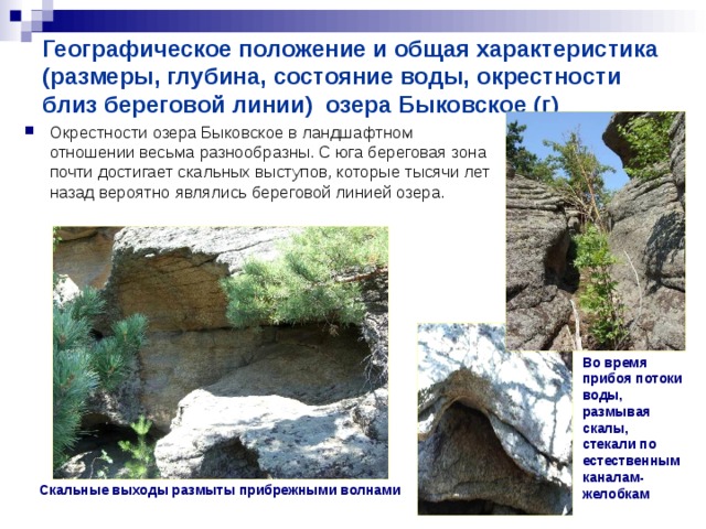 Географическое положение и общая характеристика (размеры, глубина, состояние воды, окрестности близ береговой линии) озера Быковское (г) Окрестности озера Быковское в ландшафтном отношении весьма разнообразны. С юга береговая зона почти достигает скальных выступов, которые тысячи лет назад вероятно являлись береговой линией озера. Во время прибоя потоки воды, размывая скалы, стекали по естественным каналам-желобкам   Скальные выходы размыты прибрежными волнами  