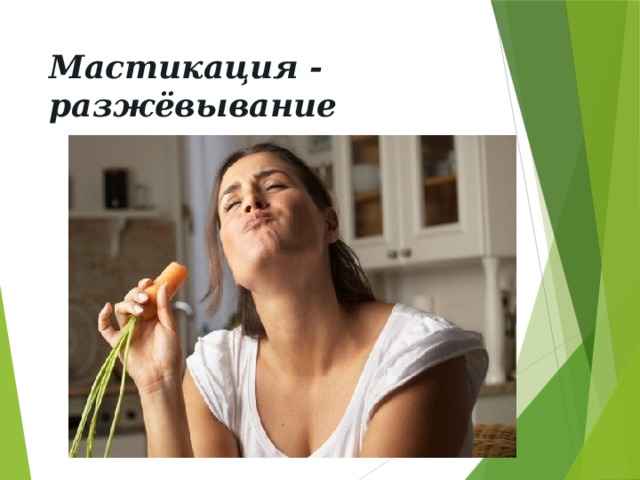 Мастикация - разжёвывание 
