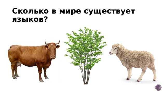 Сколько в мире существует языков?                                           