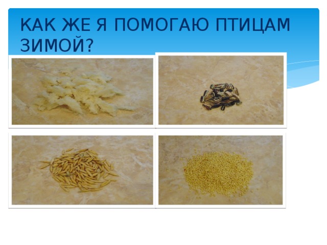 КАК ЖЕ Я ПОМОГАЮ ПТИЦАМ ЗИМОЙ? 