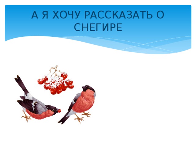 А Я ХОЧУ РАССКАЗАТЬ О СНЕГИРЕ 