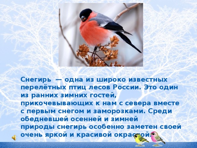 Снегирь  — одна из широко известных перелётных птиц лесов России.  Это один из ранних зимних гостей, прикочевывающих к нам с севера вместе с первым снегом и заморозками. Среди обедневшей осенней и зимней природы снегирь особенно заметен своей очень яркой и красивой окраской.  