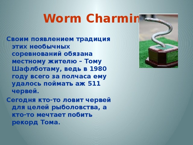 Worm Charming Своим появлением традиция этих необычных соревнований обязана местному жителю – Тому Шафлботаму, ведь в 1980 году всего за полчаса ему удалось поймать аж 511 червей. Сегодня кто-то ловит червей для целей рыболовства, а кто-то мечтает побить рекорд Тома. 