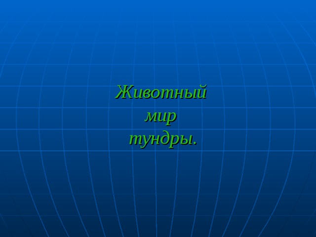 Животный  мир  тундры. 