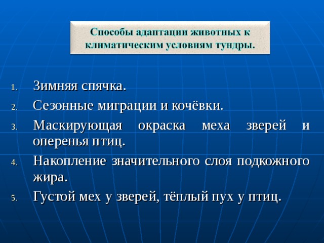 Зимняя спячка. Сезонные миграции и кочёвки. Маскирующая окраска меха зверей и оперенья птиц. Накопление значительного слоя подкожного жира. Густой мех у зверей, тёплый пух у птиц. 